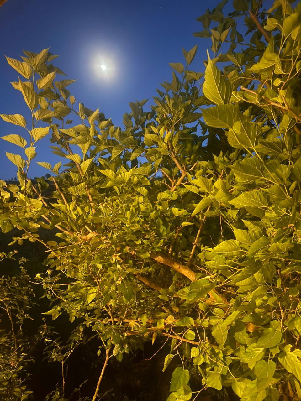 2024 intro - going to where the sun sets