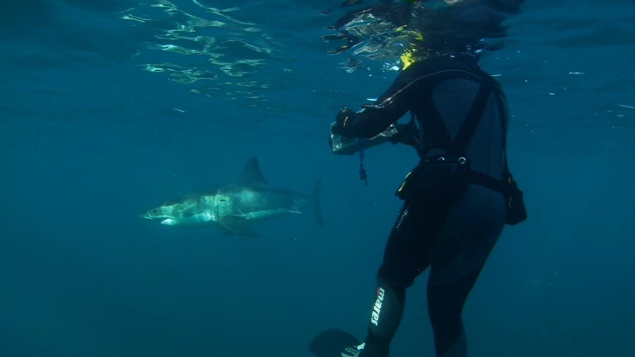 Ocean Odyssey: The Blue Realm - Épisode 6