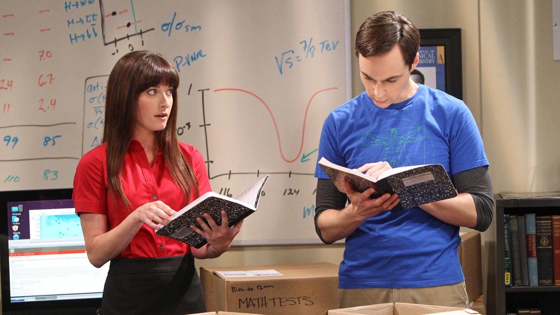 The Big Bang Theory Staffel 6 :Folge 3 