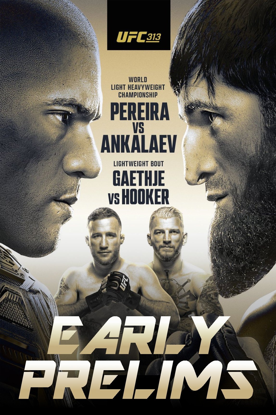 UFC 313: Pereira vs. Ankalaev