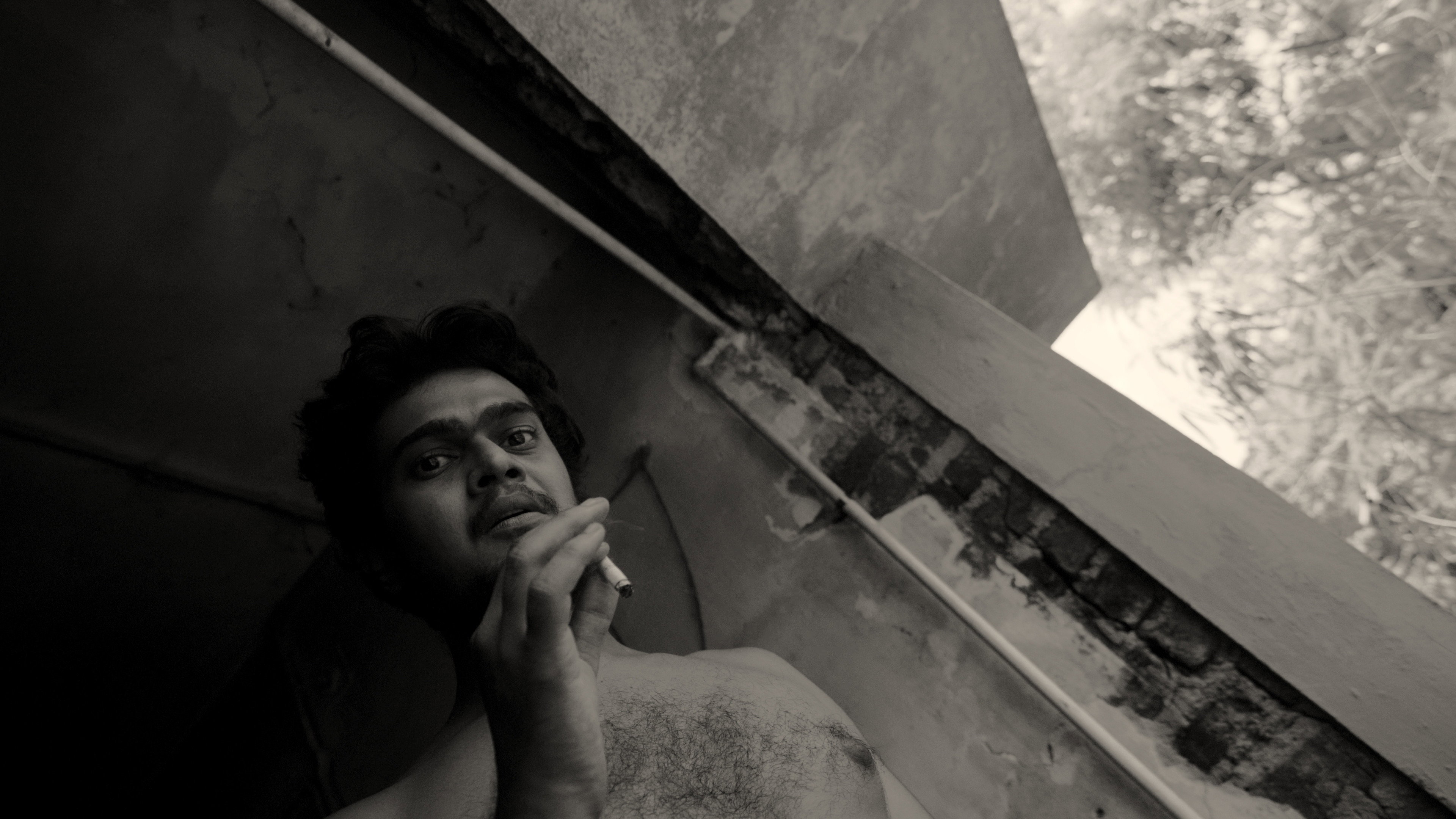 A Fly Floating In The Midst Of The Milk