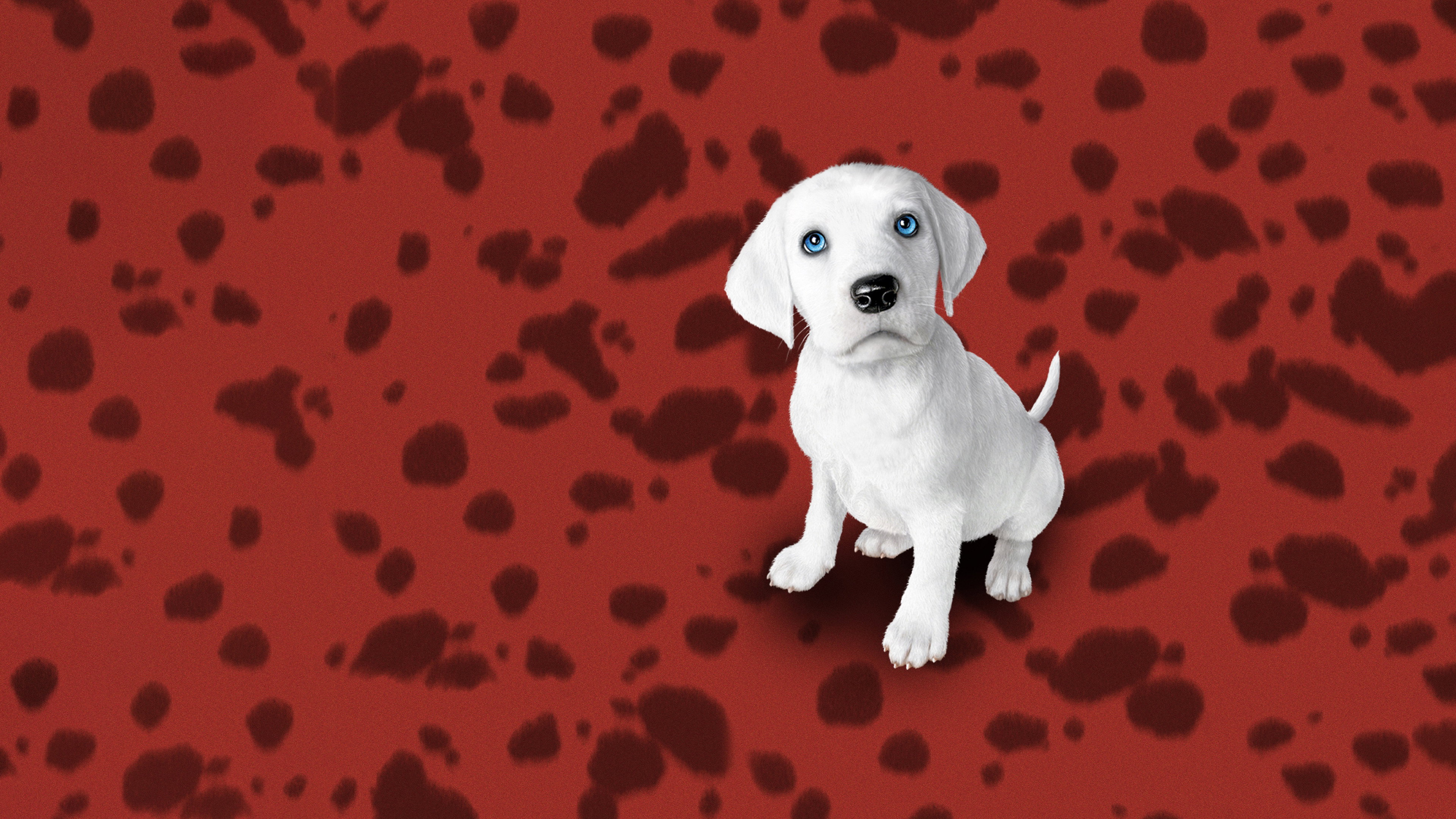 102 Dalmatians