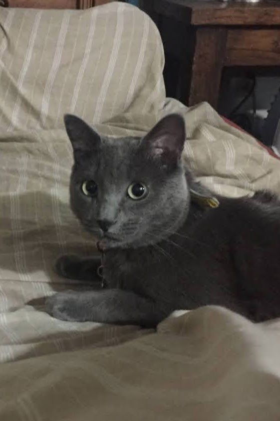 et billede af Cocteau