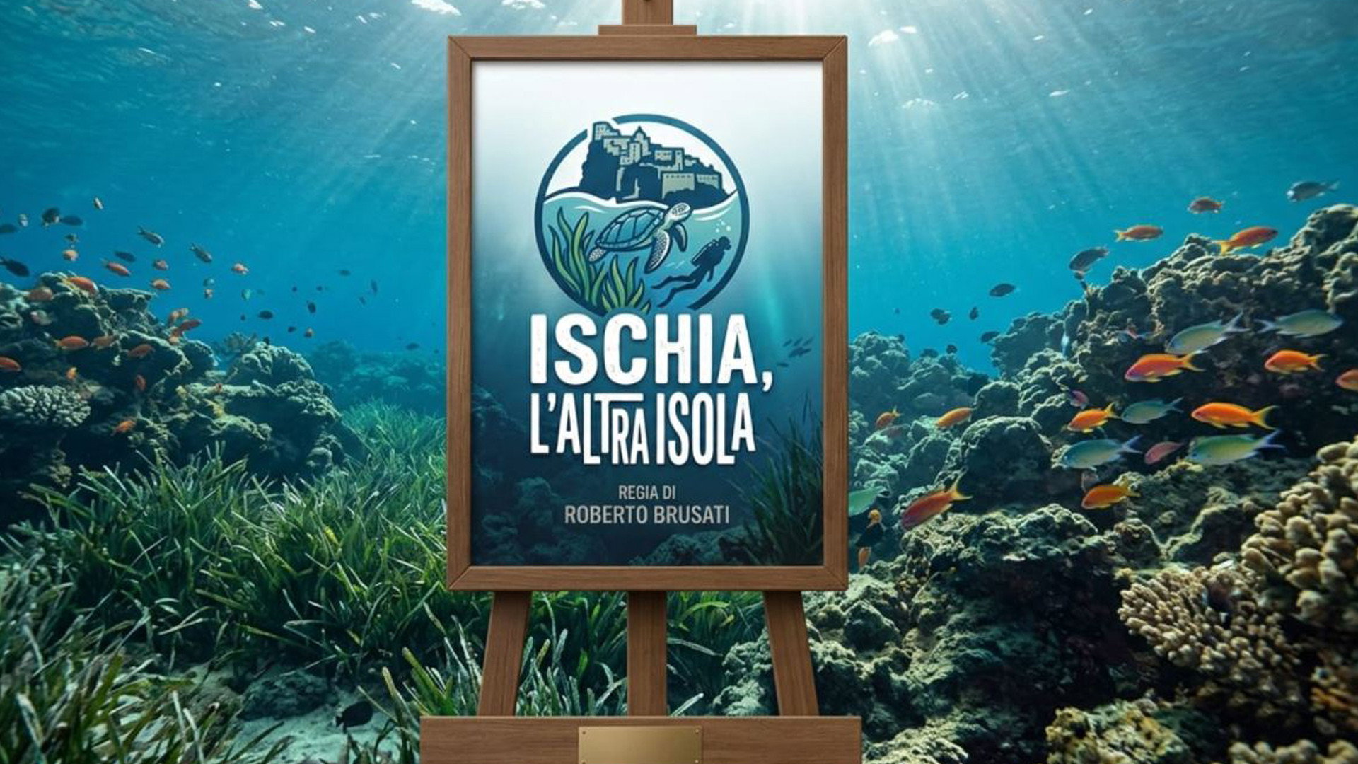 ISCHIA, L'ALTRA ISOLA - Viaggio nel suo mondo sommerso, immagini, natura e biodiversità nel “Regno di Nettuno backdrop