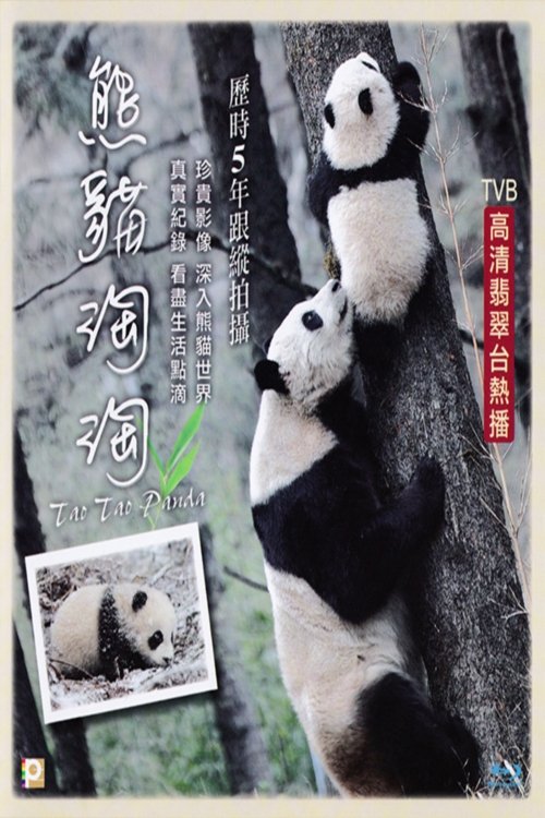 Content cover