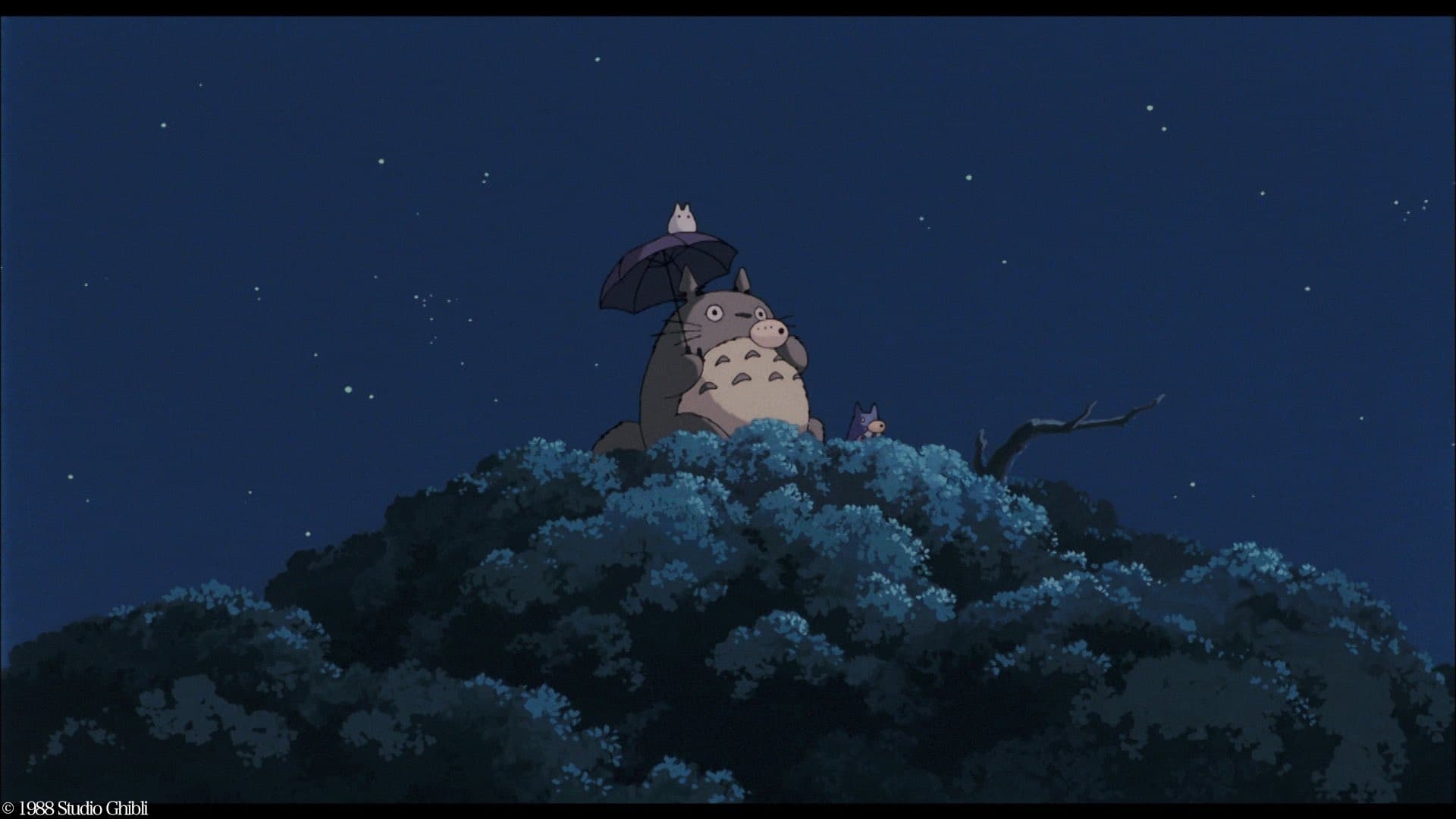 Naapurini Totoro