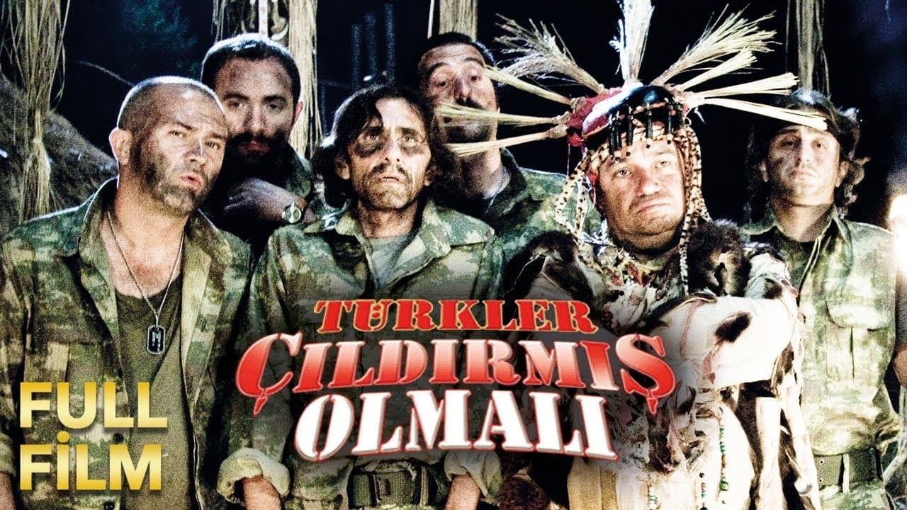 Türkler Çıldırmış Olmalı (2009)