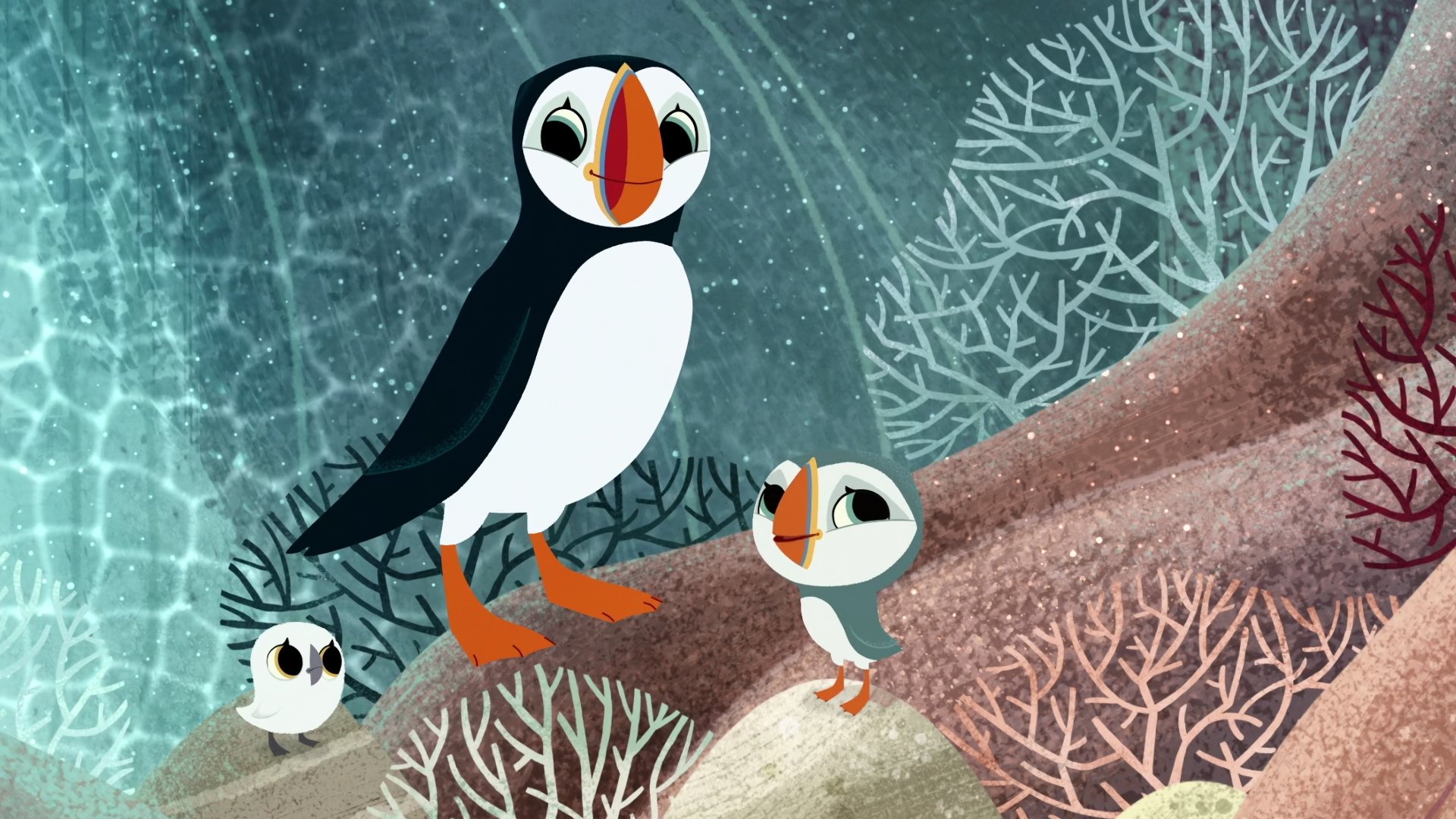 Puffin Rock