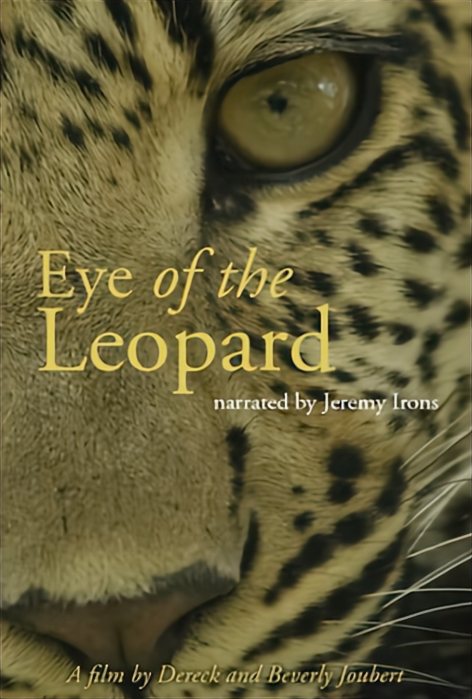 Eye of the Leopard