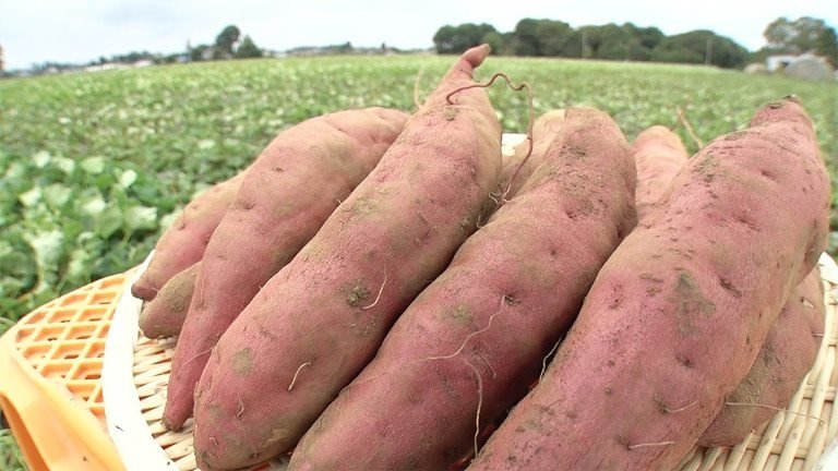Thumbnail for Sweet Potato Season 1 Episode 8