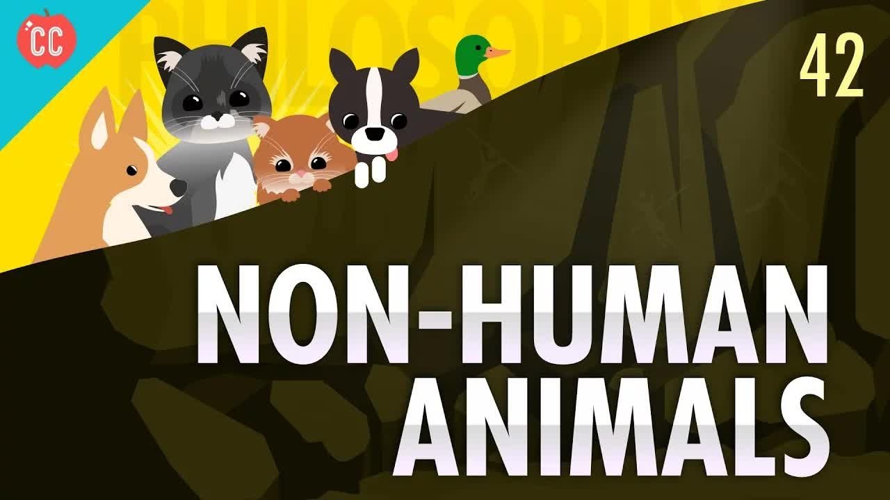 Crash Course Philosophy - Épisode 42