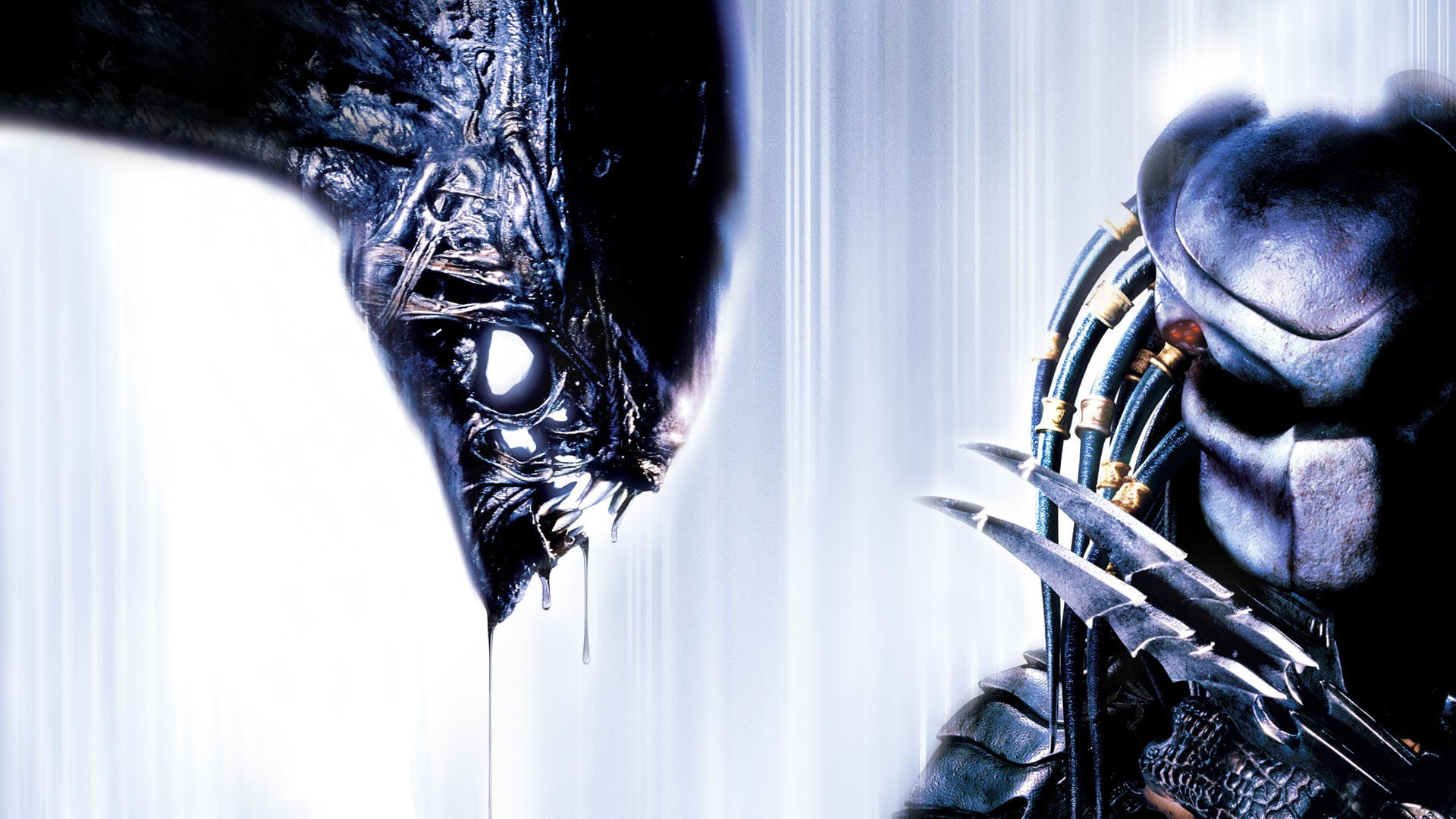 AVP: Alien vs. Predator