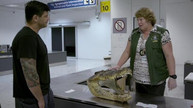 Airport Brazil: Restricted Areas