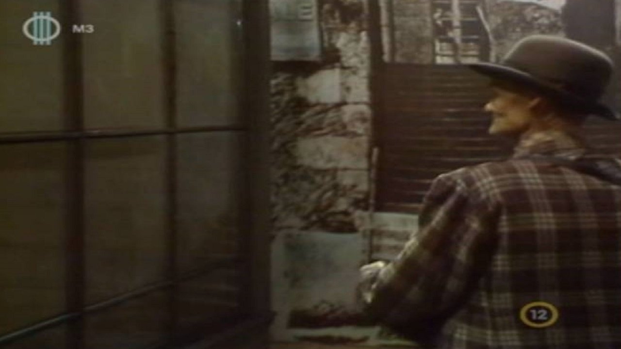 Saroküzlet (1979)