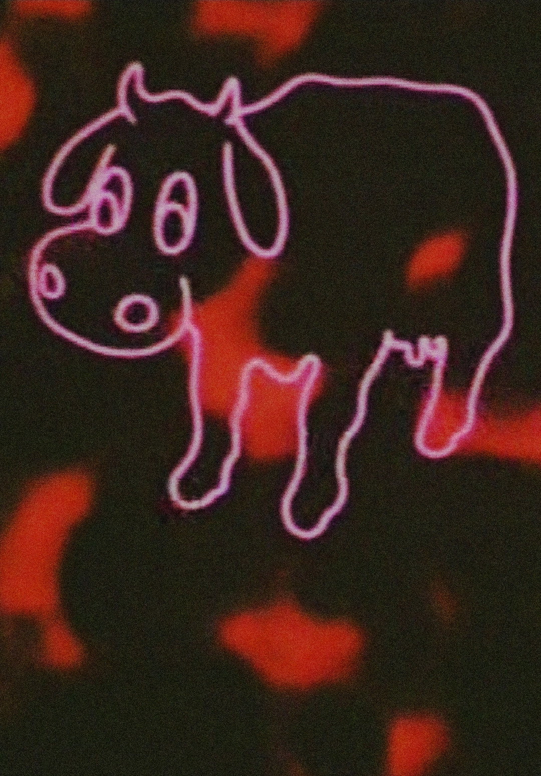 Neon Cow