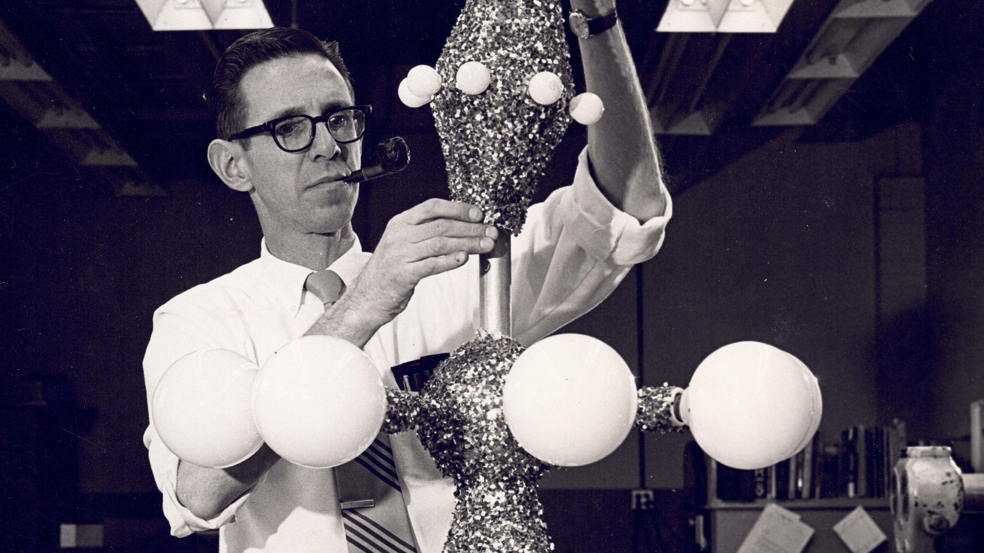 The National Christmas Tree, A Century of Celebration (2024)