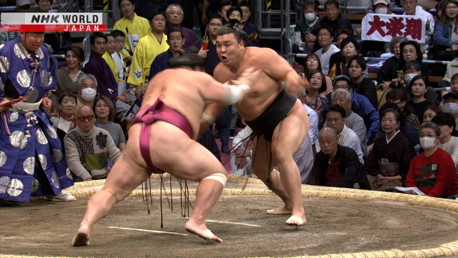 GRAND SUMO Highlights Staffel 20 :Folge 13 