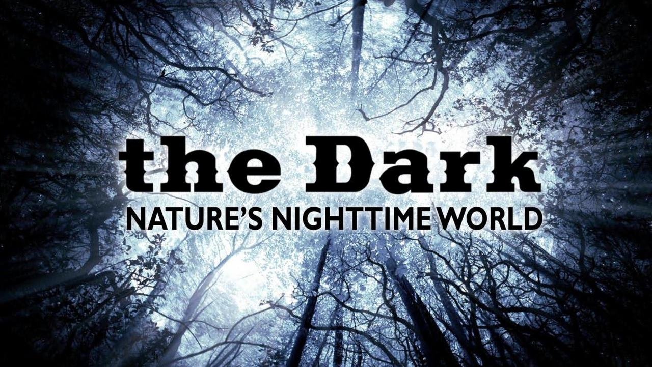 The Dark: Nature's Nighttime World