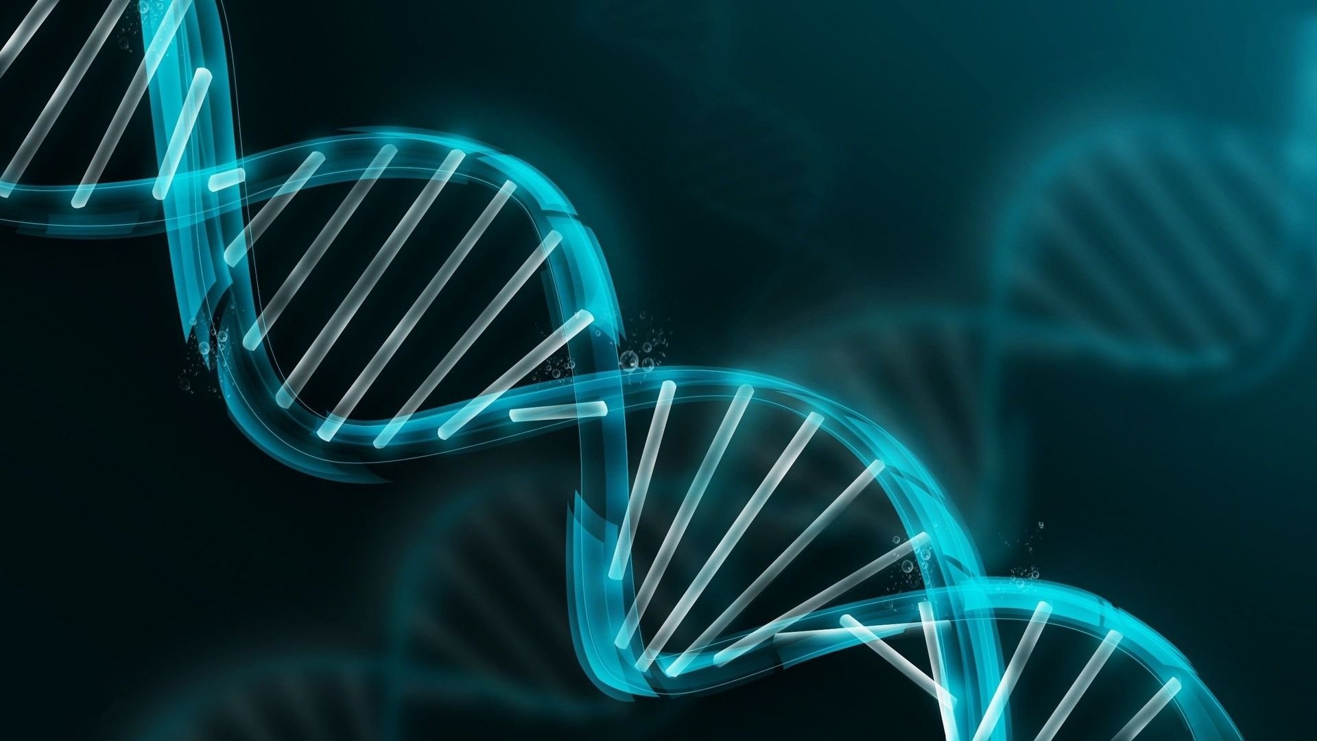 Lieven Scheire: DNA (2019)