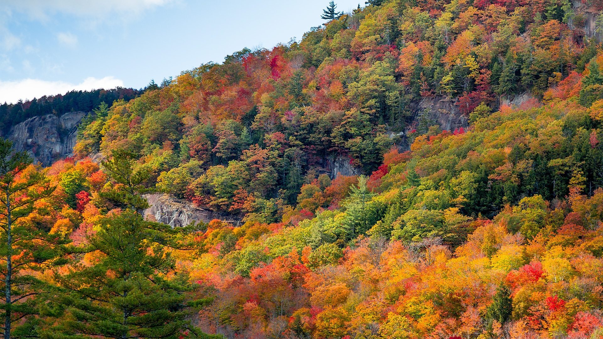 Autumnwatch
