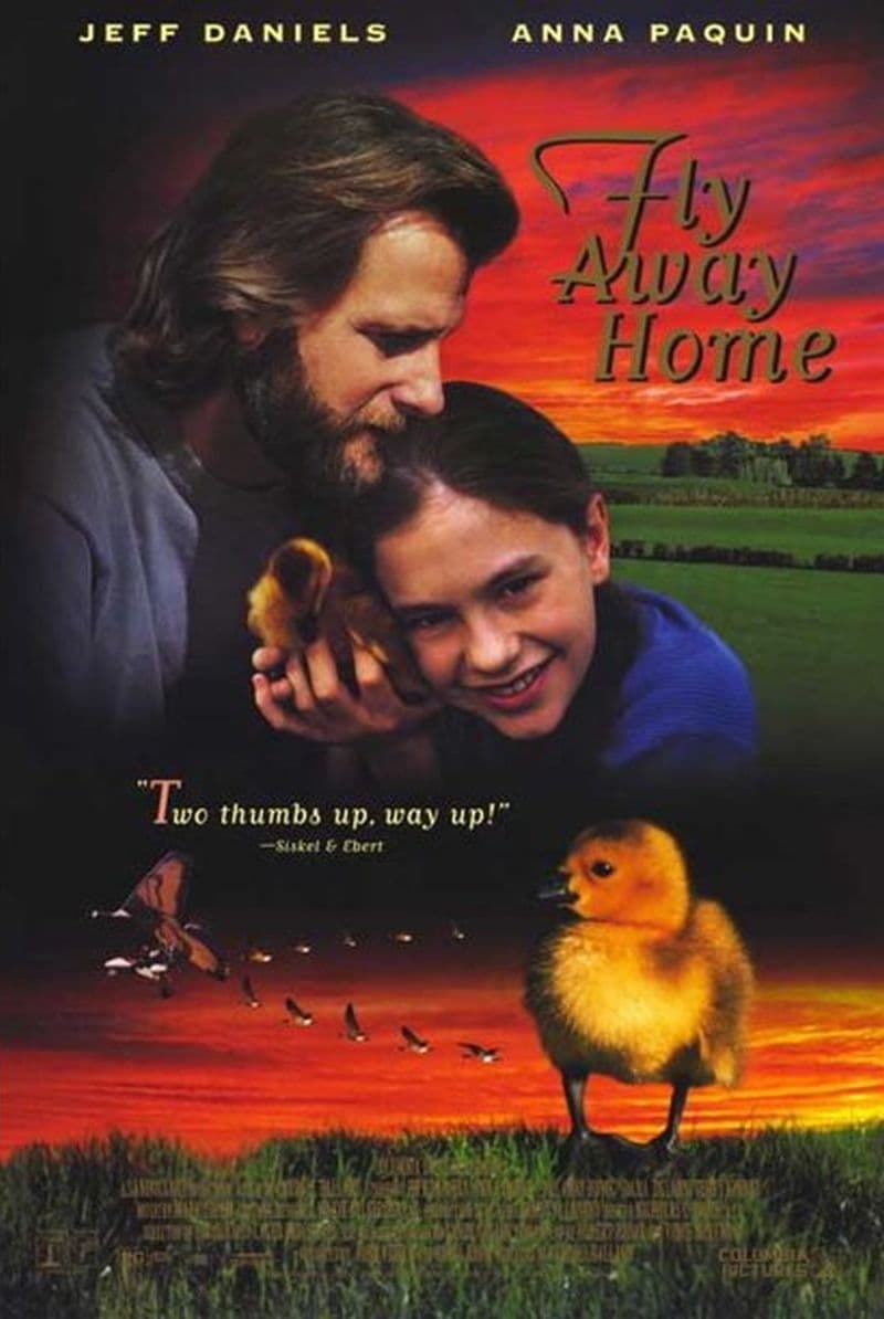 Fly Away Home