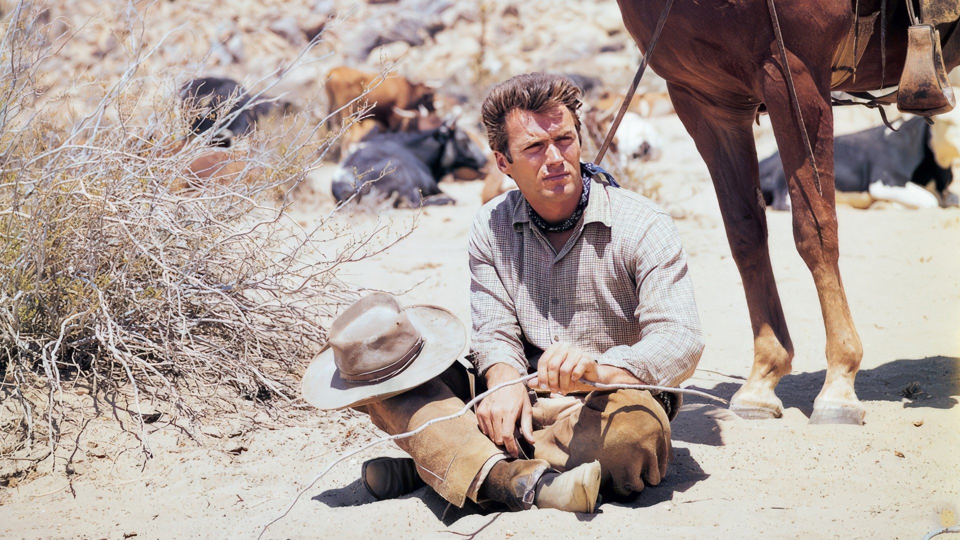 Rawhide - Season 6