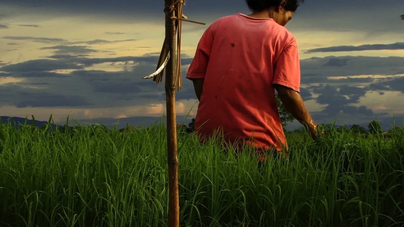 Agrarian Utopia (2009)