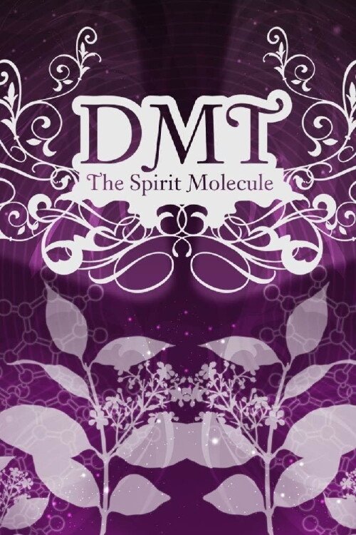 DMT: The Spirit Molecule