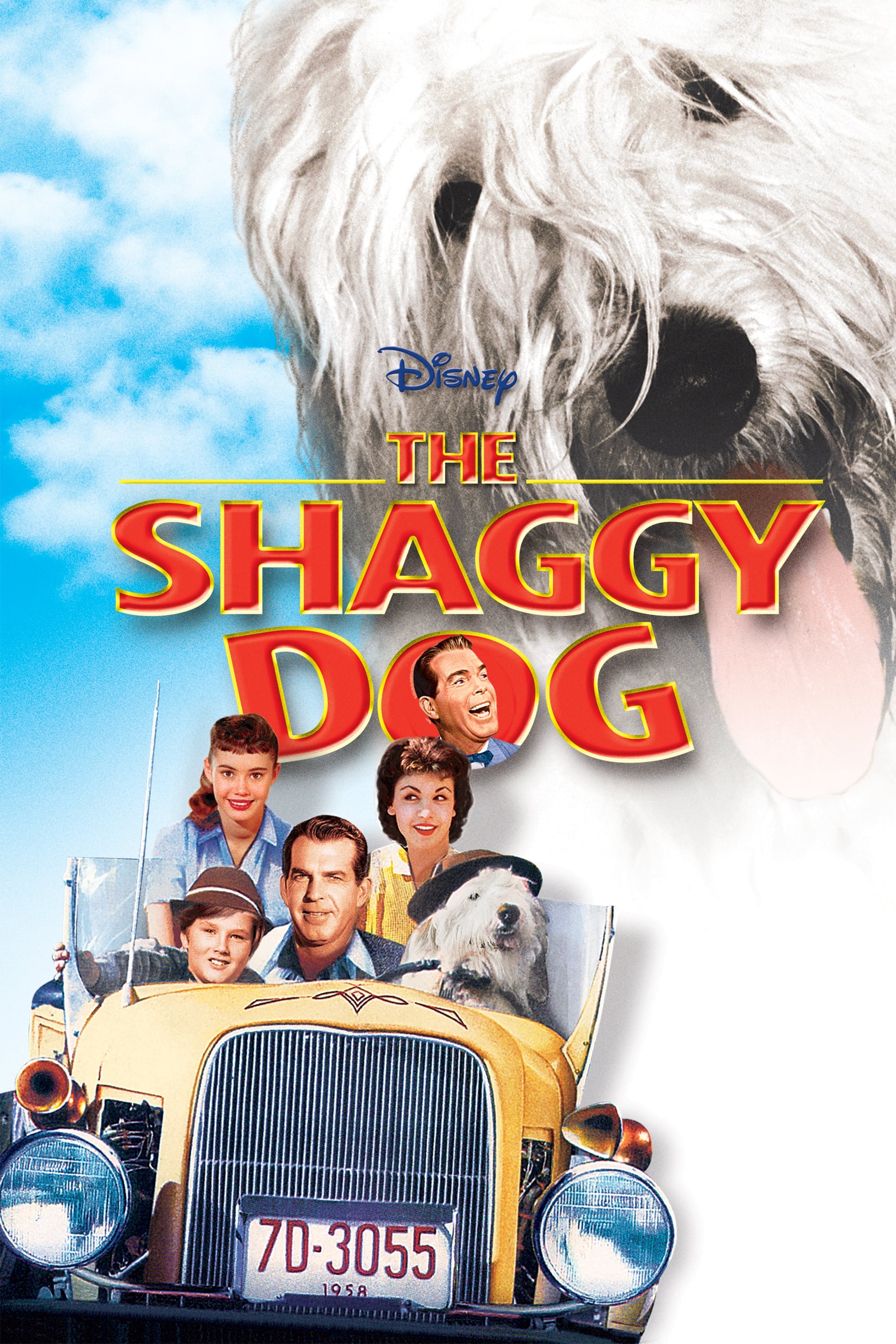 The Shaggy Dog