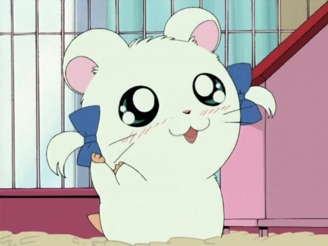 Hamtaro