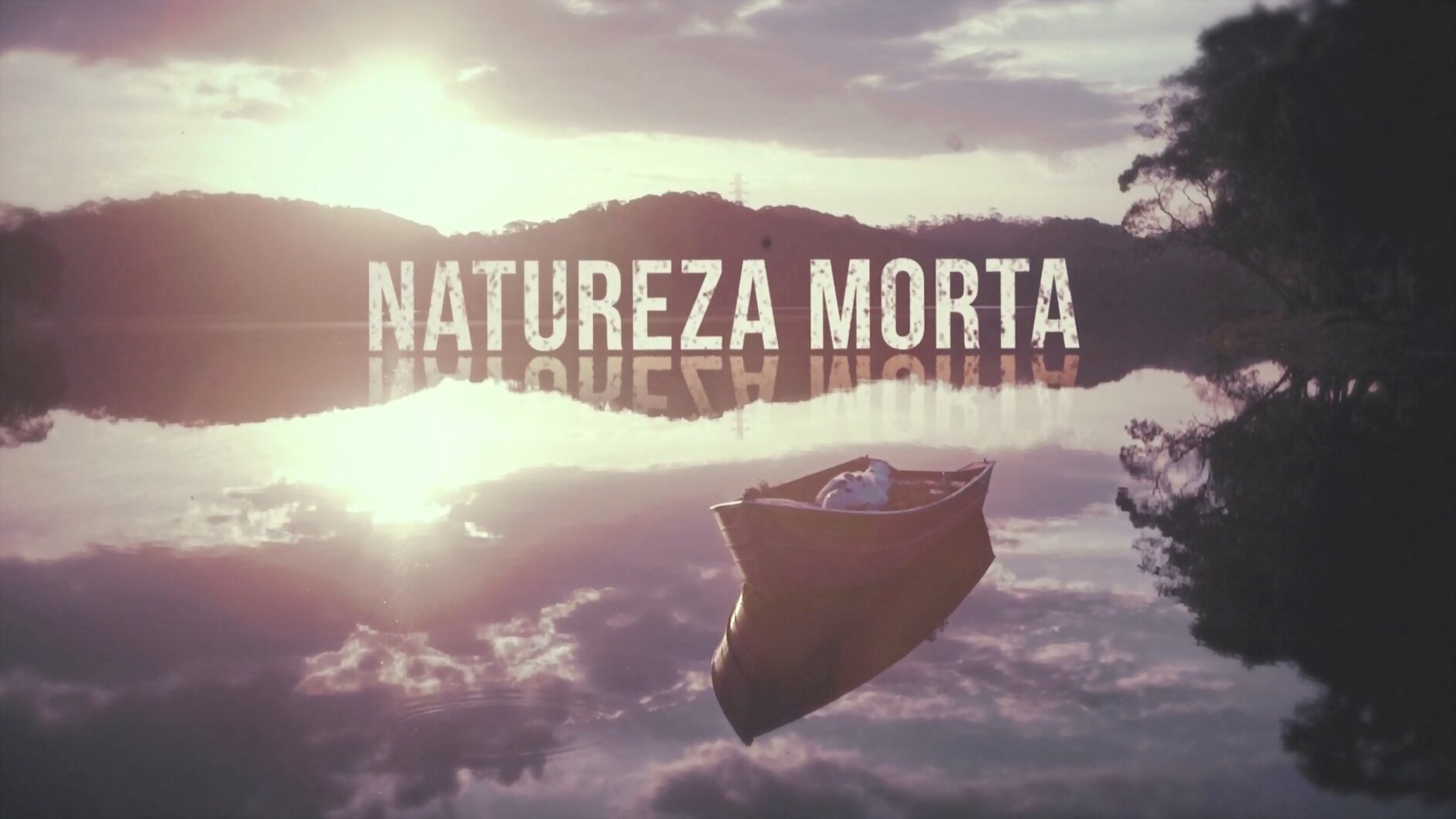 Natureza Morta