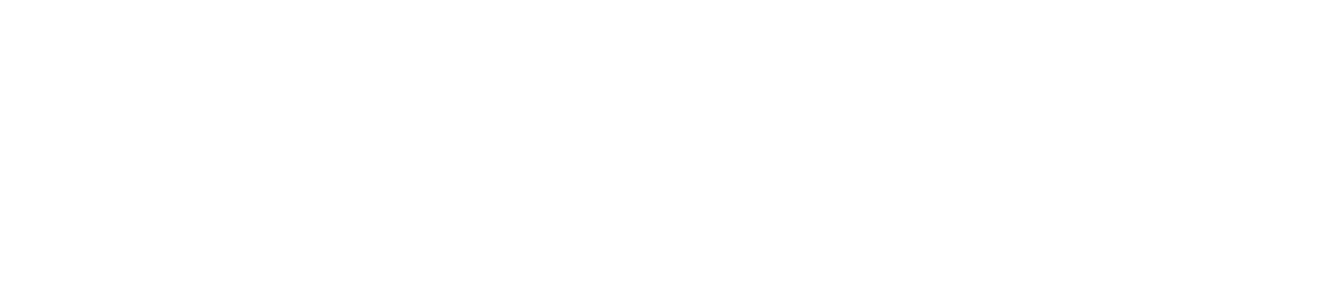 Our Cartoon President