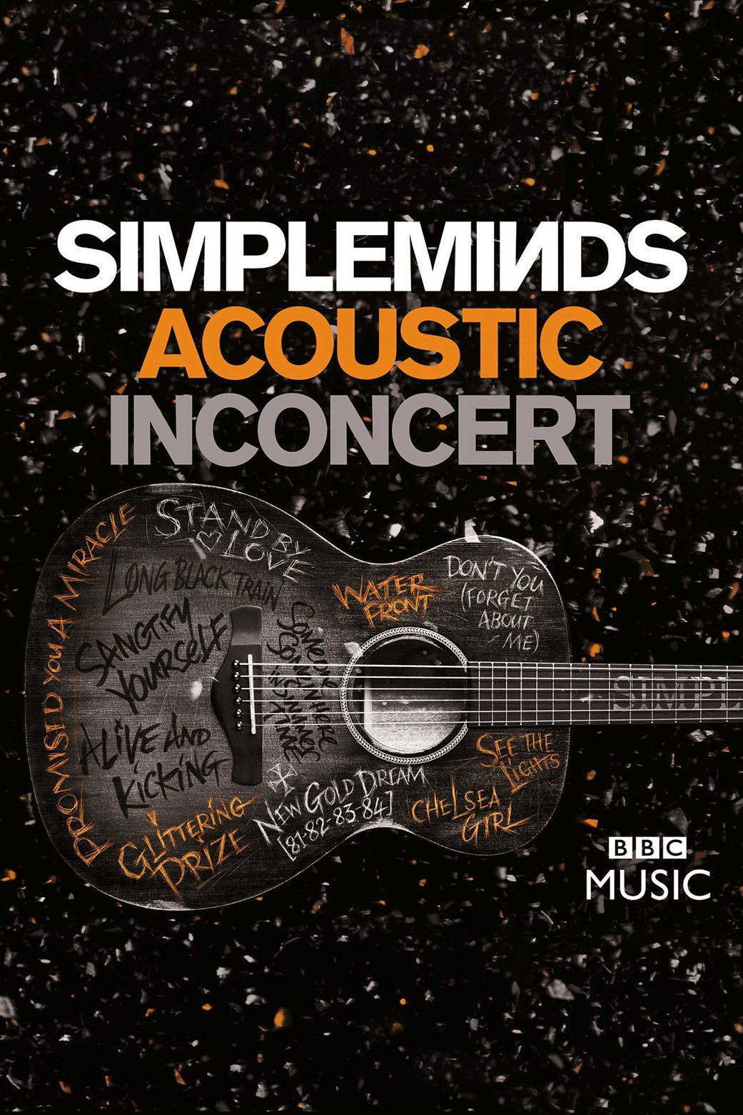 Simple Minds: Acoustic in Concert