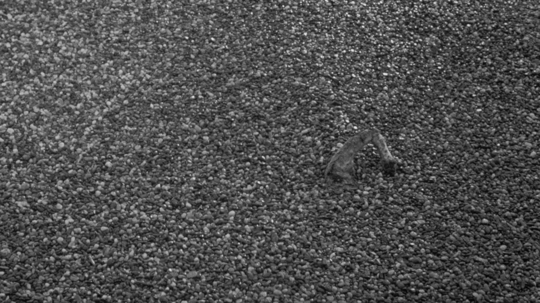 Black Gravel