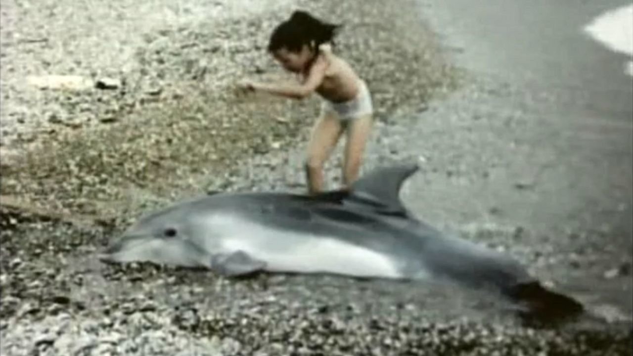 Metichara (1988)