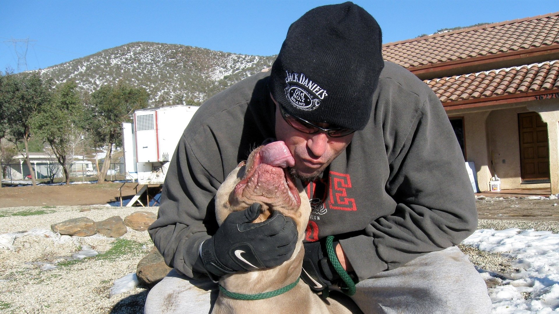 Pit Bulls and Parolees