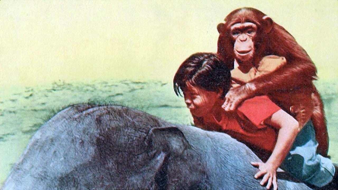 Taffy and the Jungle Hunter (1965)