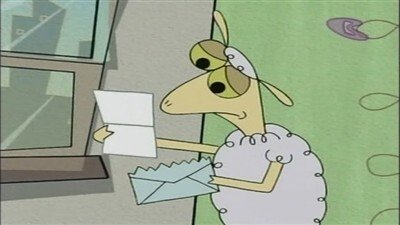 Sheep in the Big City