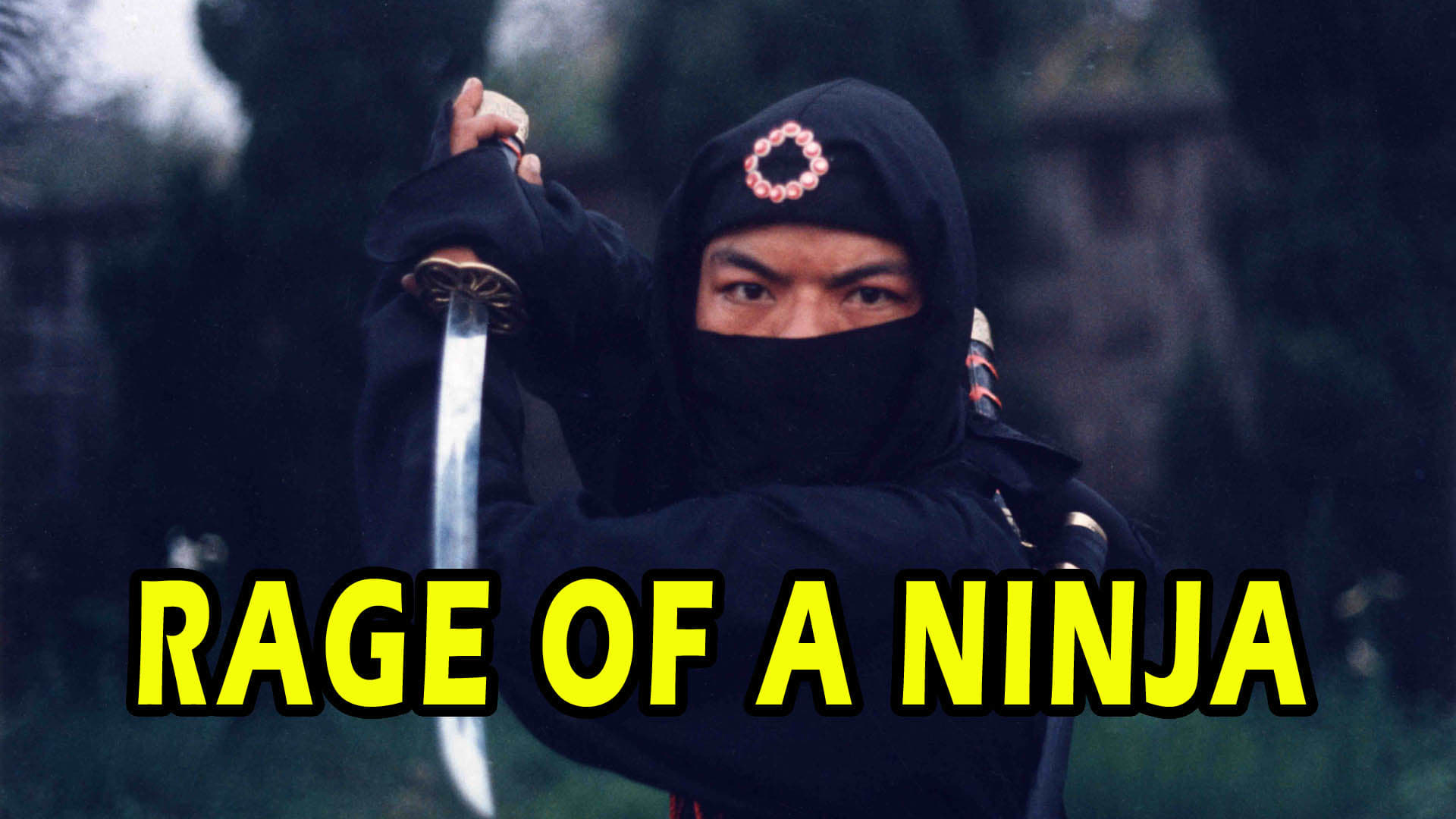 Rage of a Ninja (1988)