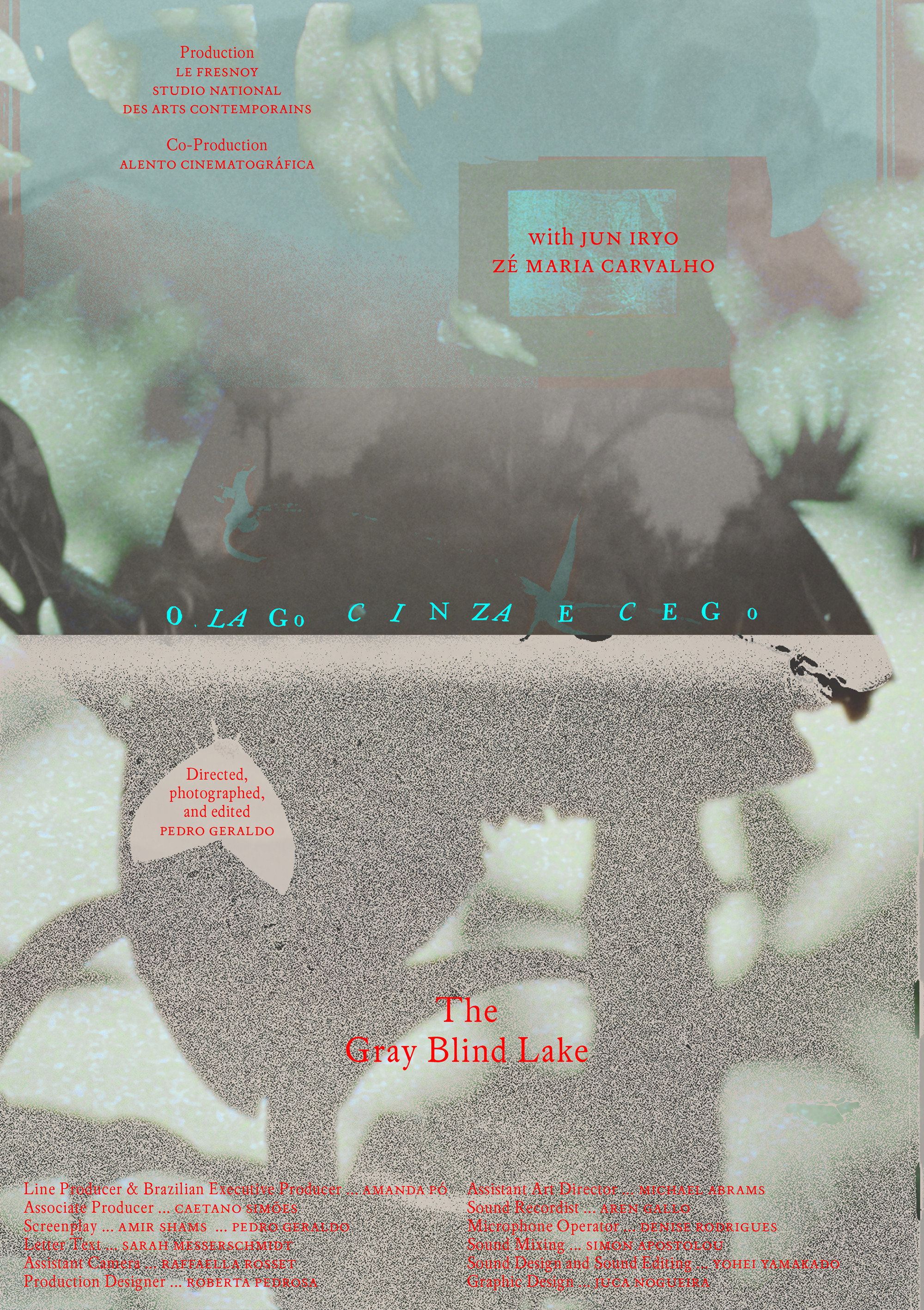 The Gray Blind Lake (2026) Poster