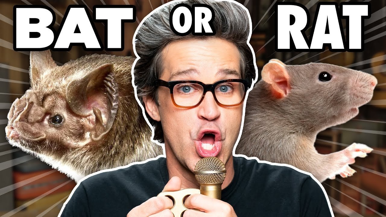 Good Mythical Morning
