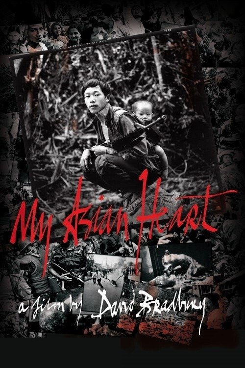 Content cover