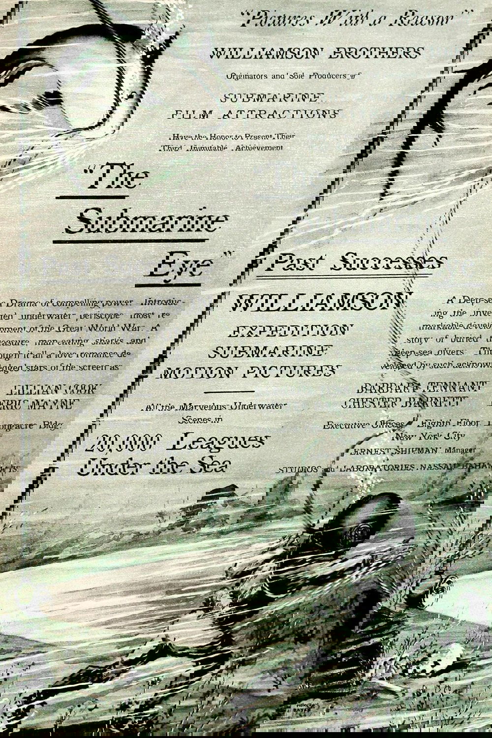 The Submarine Eye