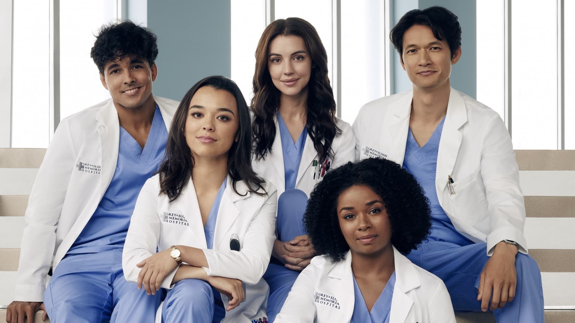 Grey's Anatomy - Season 14