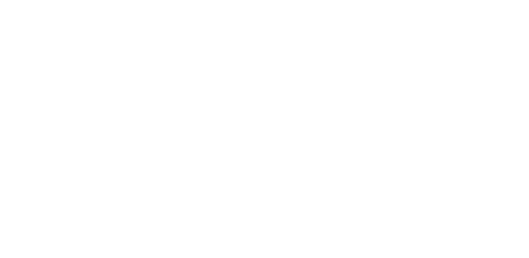 Shanghai Express Logo