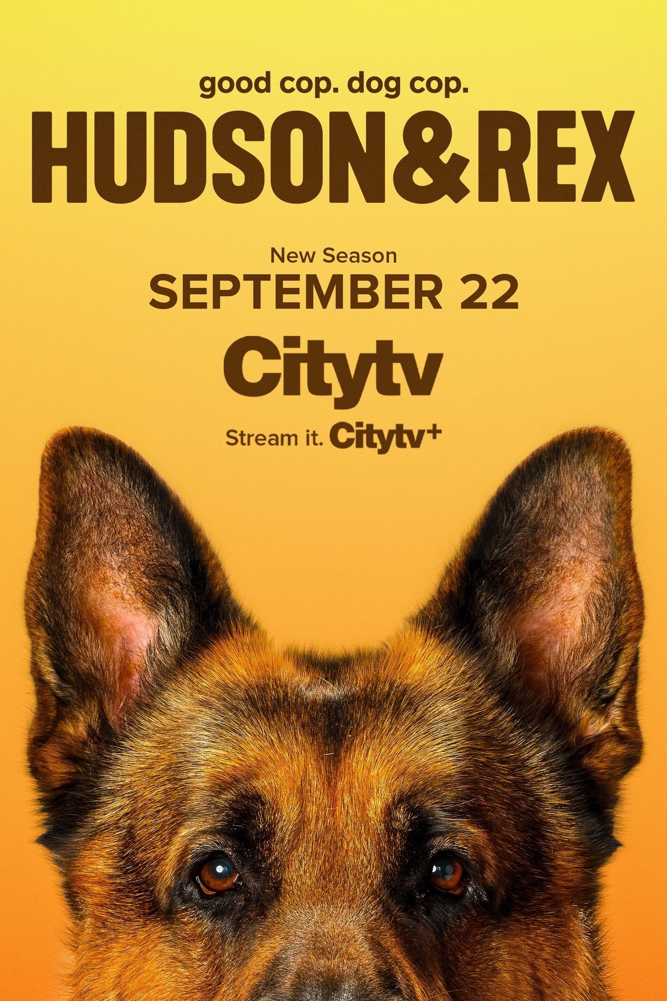 Hudson & Rex - Season 8