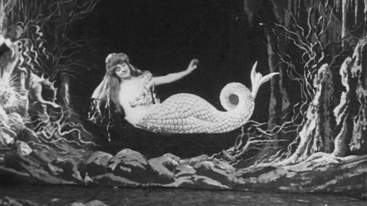 The Mermaid