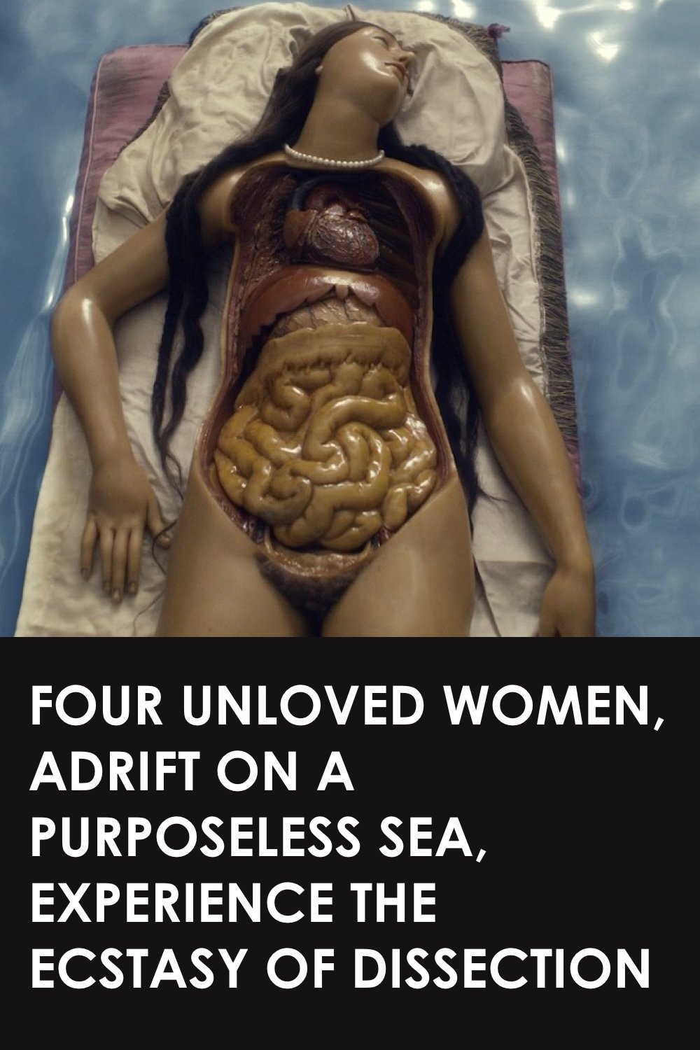 Four Unloved Women, Adrift on a Purposeless Sea, Experience the Ecstasy of Dissection