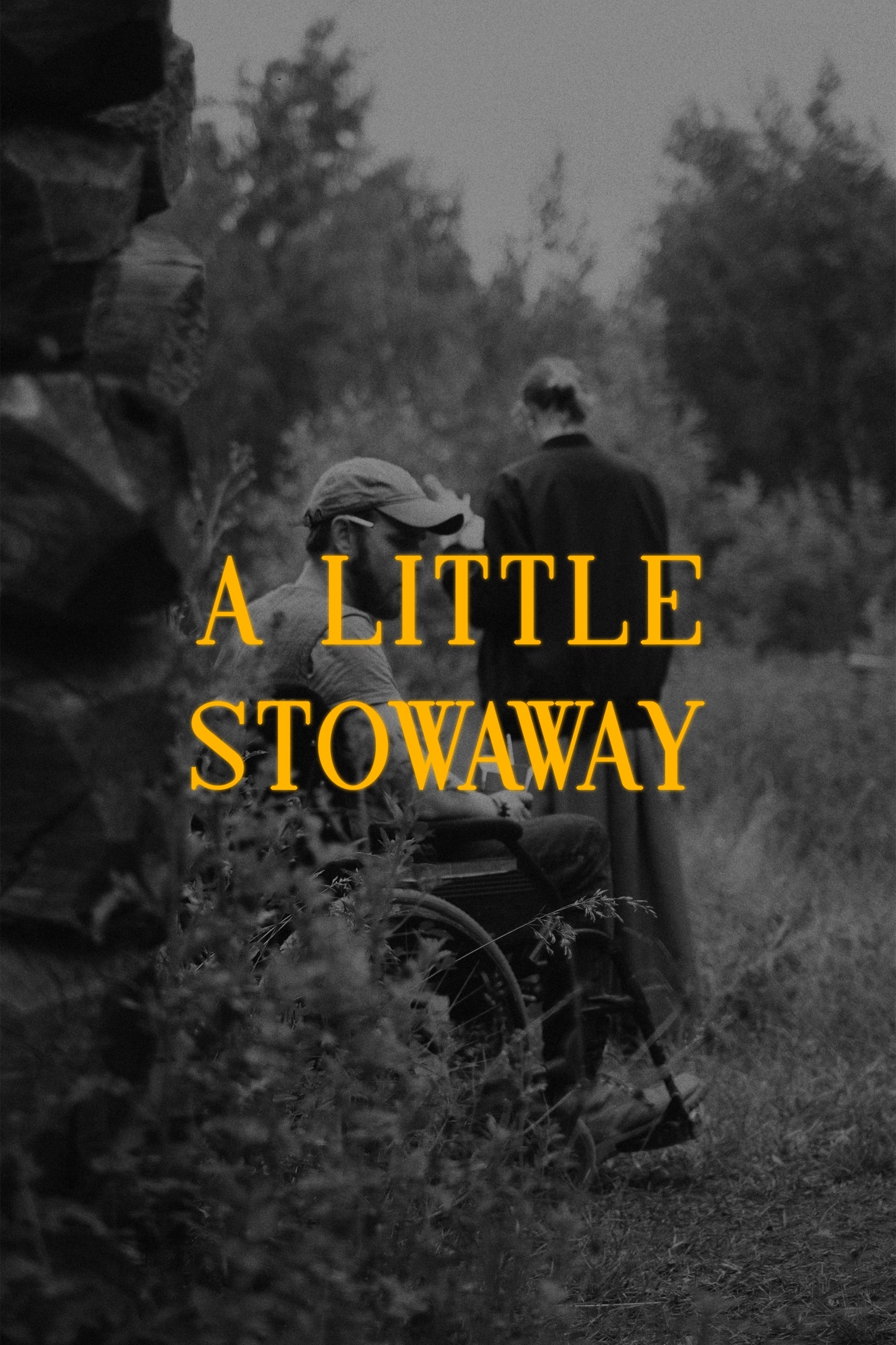 A Little Stowaway