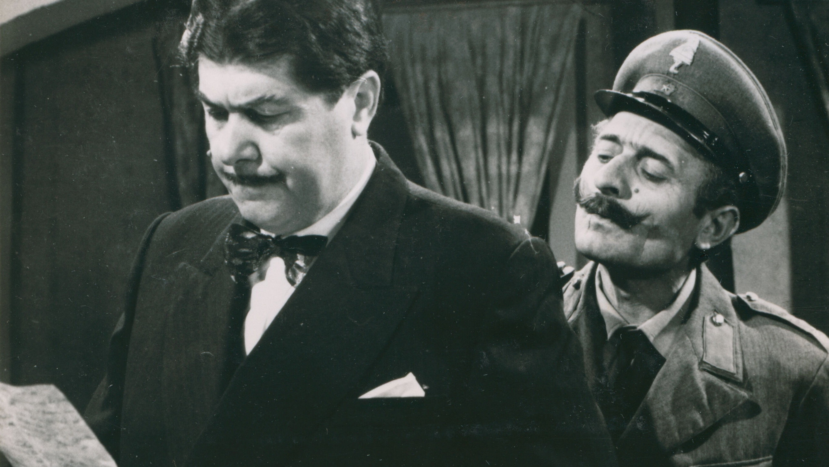 The Historian and the Chameleons